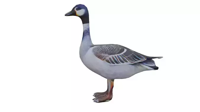 Realistic Goose LOW POLY