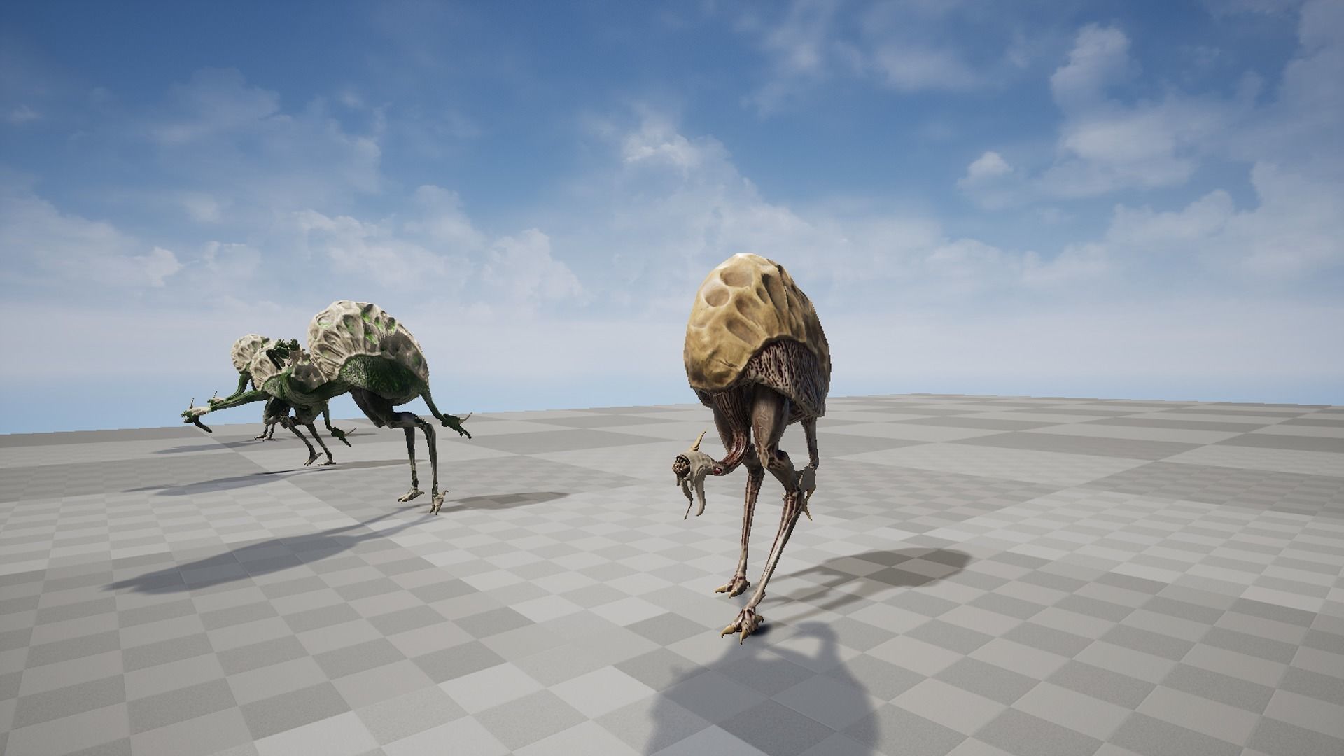 Ostrich Dinosaur Velociraptor Monster 4 Low-poly 3D model_9