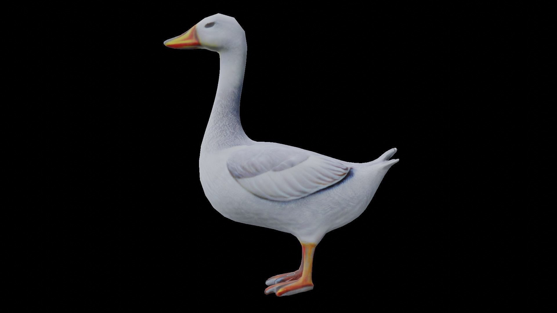 White Goose low poly Low-poly 3D model_6