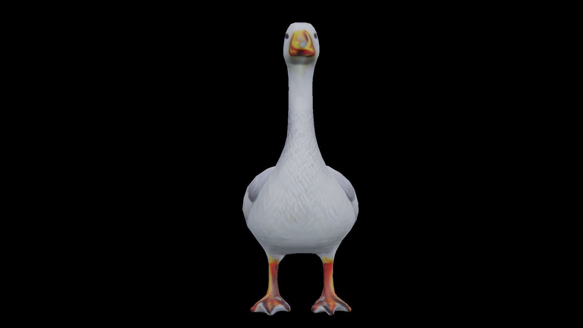 White Goose low poly Low-poly 3D model_3