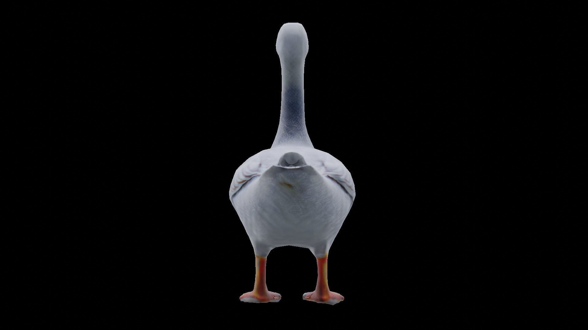 White Goose low poly Low-poly 3D model_7