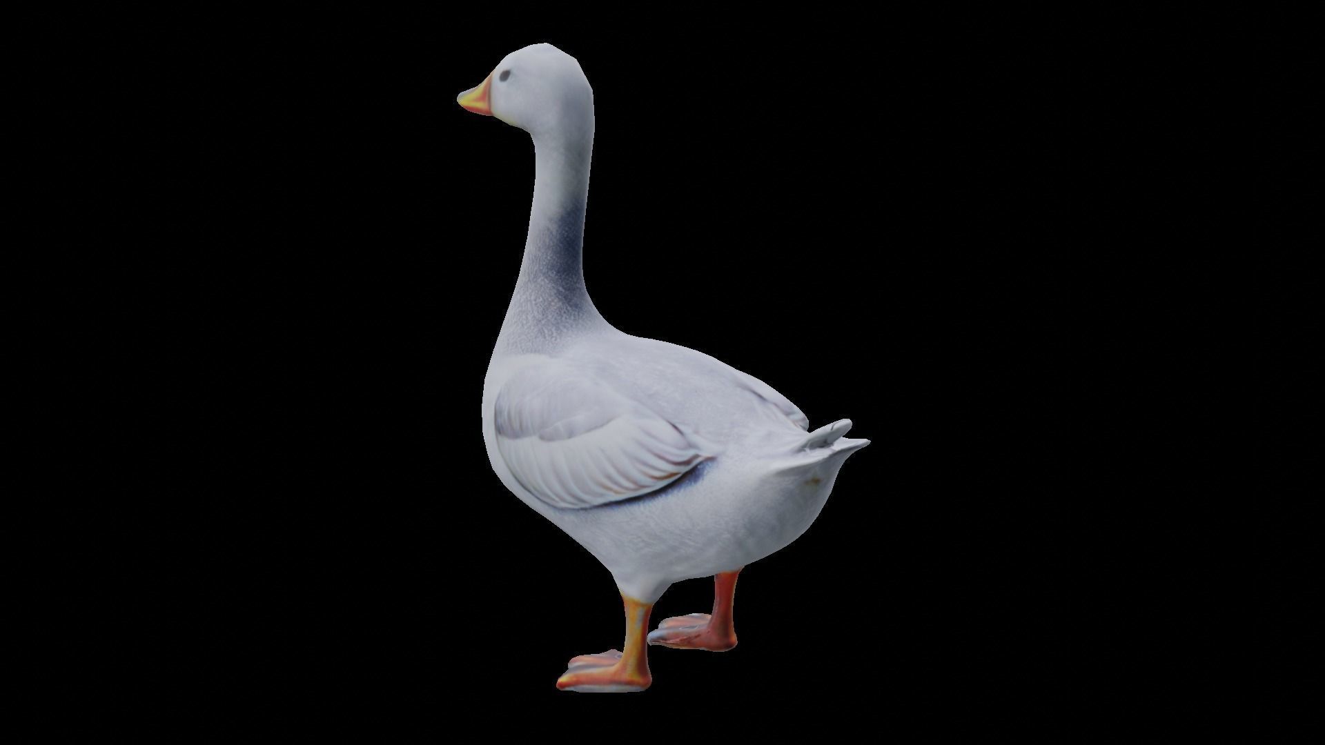 White Goose low poly Low-poly 3D model_5