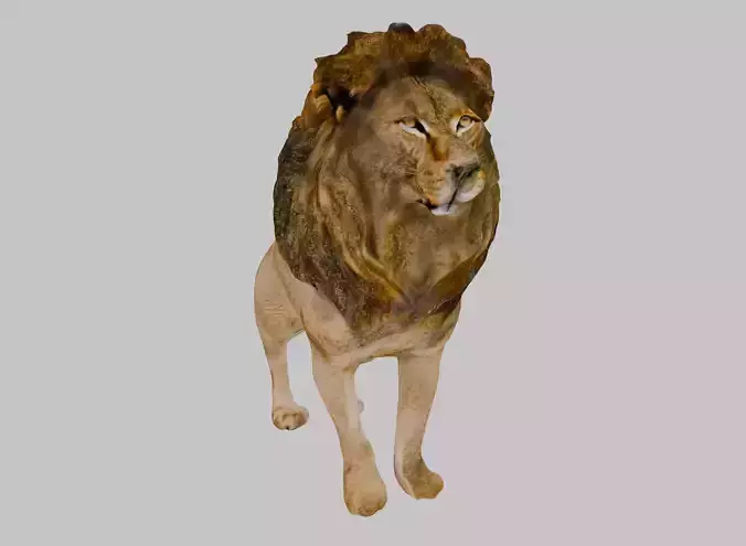 Lion Standing