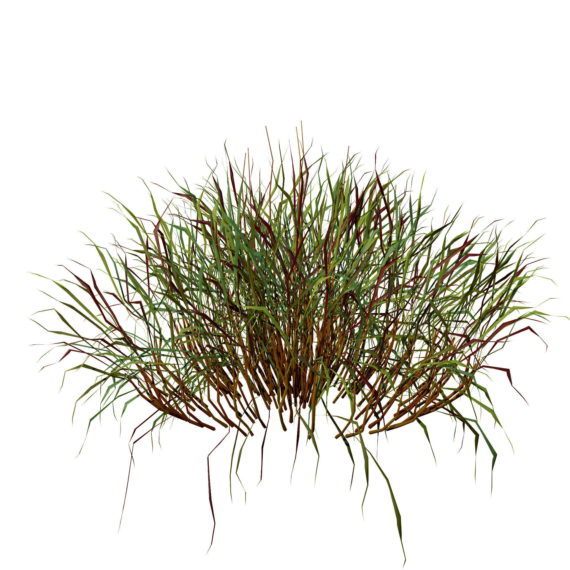 Realistic Grass 3D Model Low-poly 3D model_8