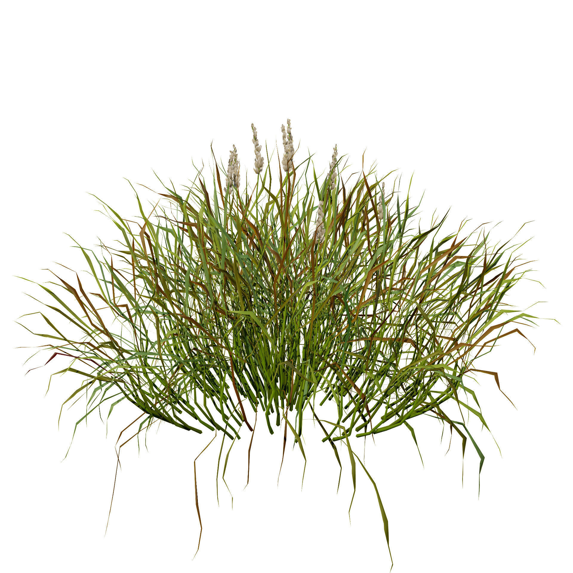 Realistic Grass 3D Model Low-poly 3D model_4