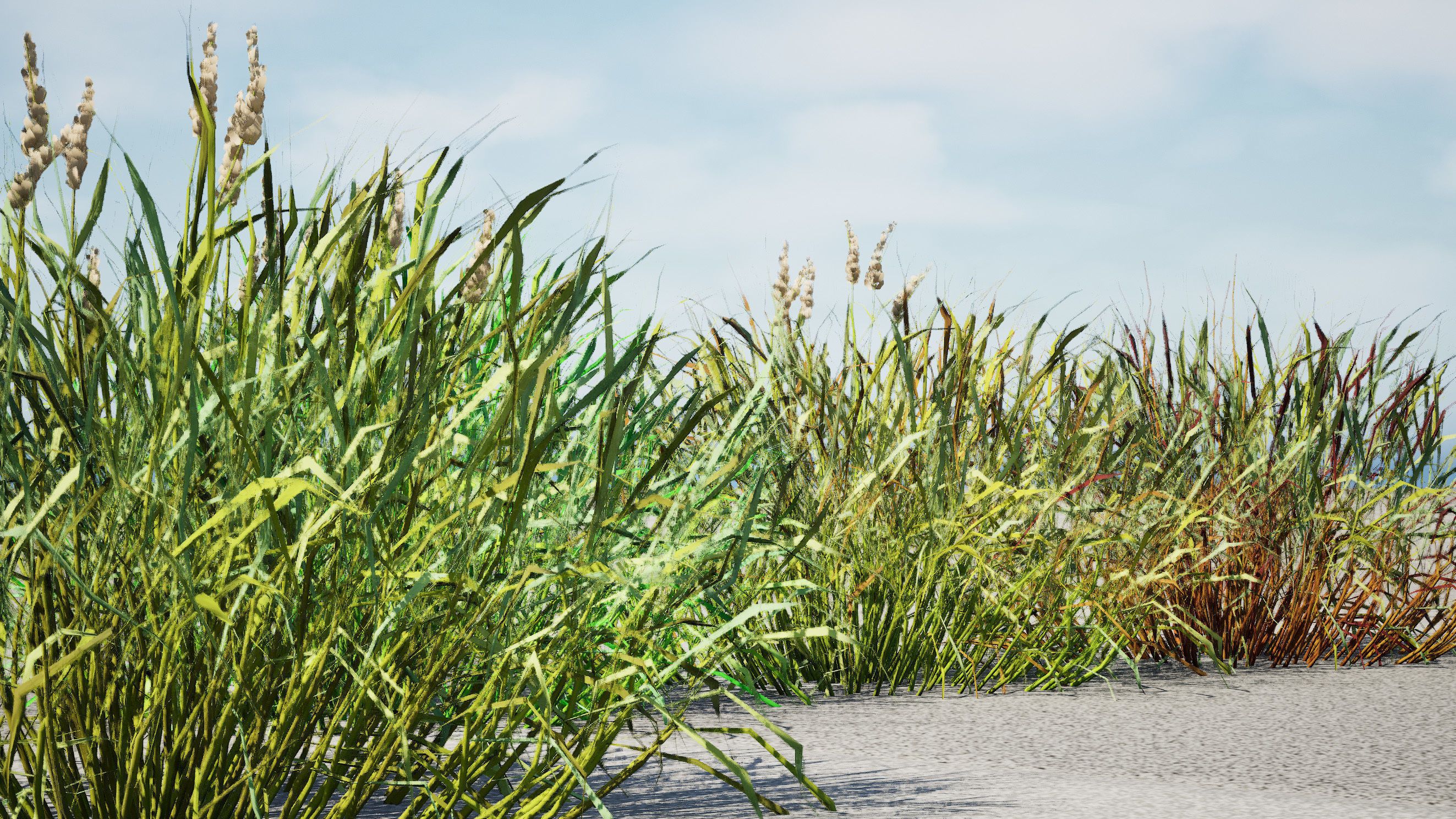 Realistic Grass 3D Model Low-poly 3D model_1