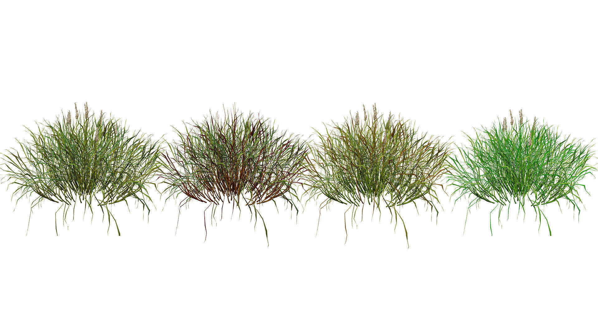 Realistic Grass 3D Model Low-poly 3D model_3