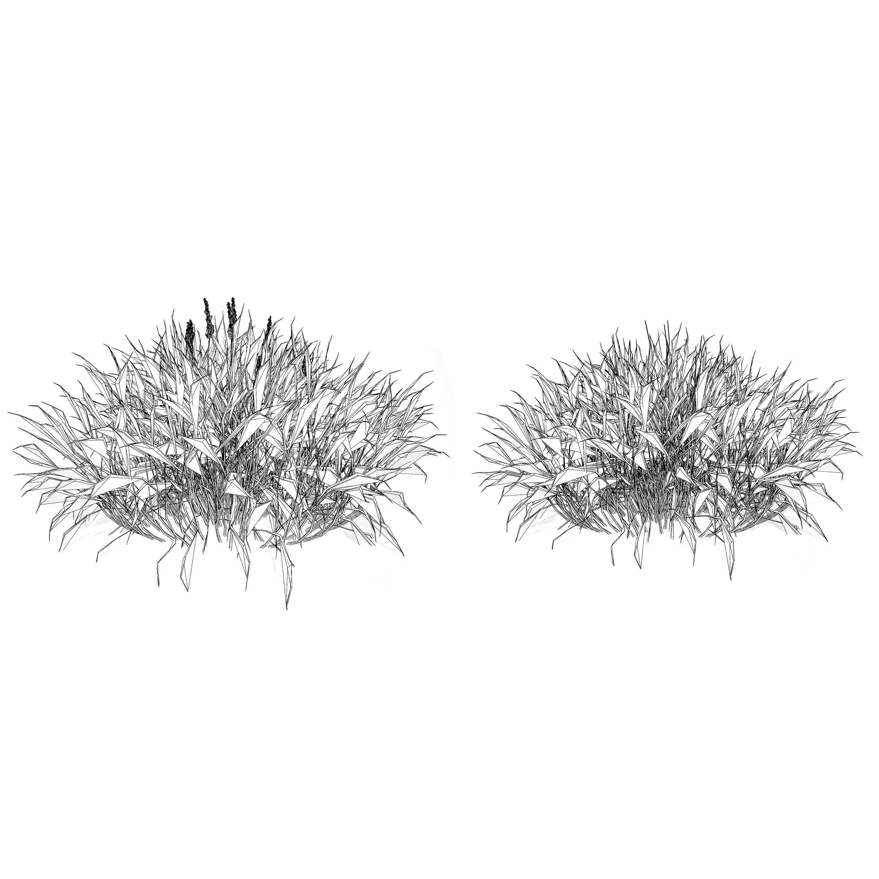 Realistic Grass 3D Model Low-poly 3D model_9