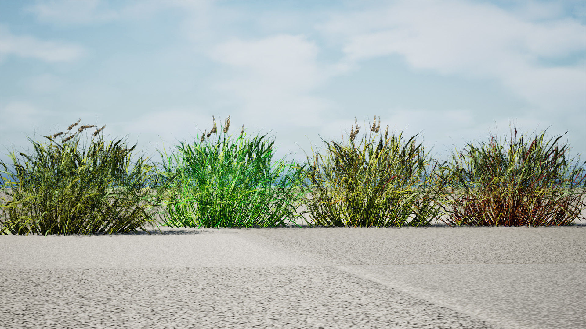 Realistic Grass 3D Model Low-poly 3D model_2
