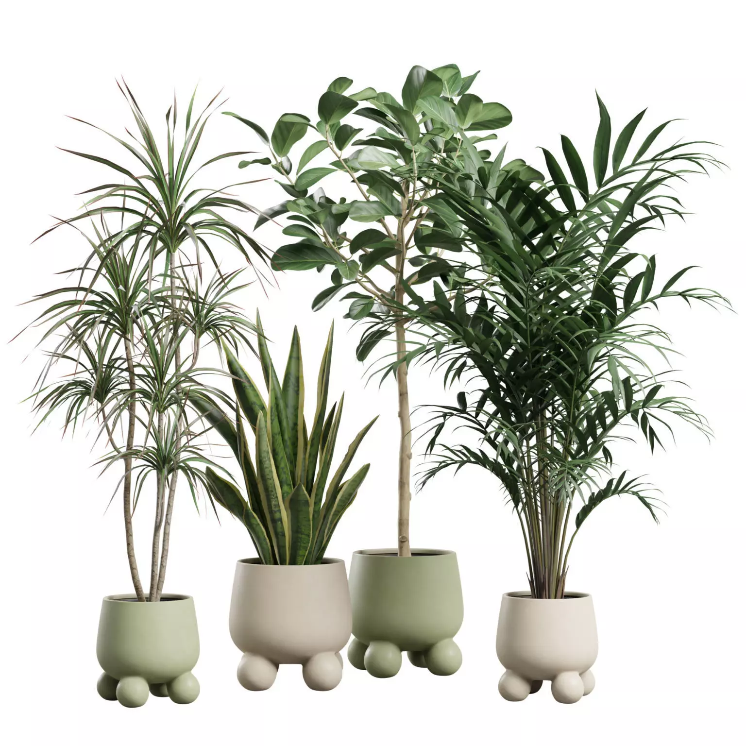 Indoor Plants Pack 75 3D model