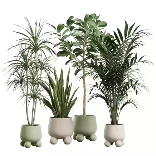 Indoor Plants Pack 75