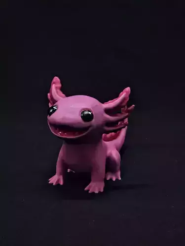 Axolotl