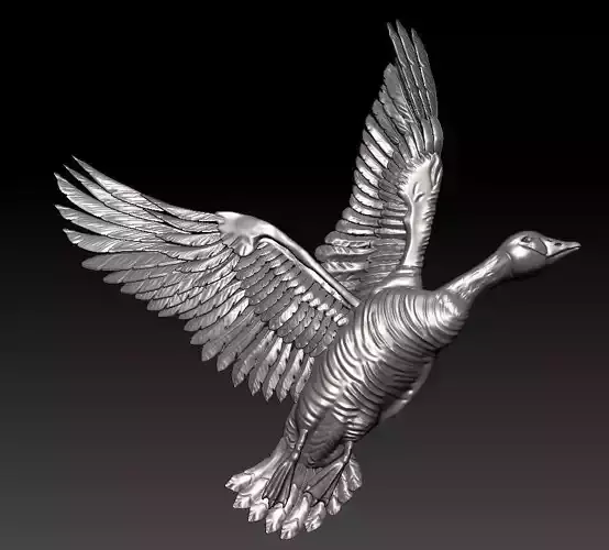 WILD DUCK 3D RELIEF