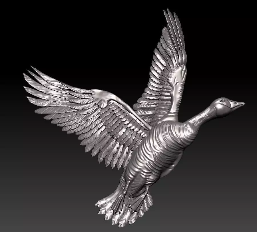 WILD DUCK 3D RELIEF 3D print model_0
