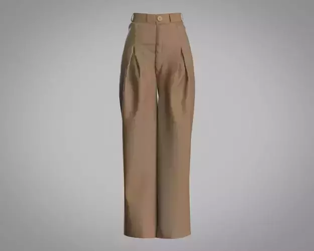 Stylish Designer Women Pleated Trouser CLO Model