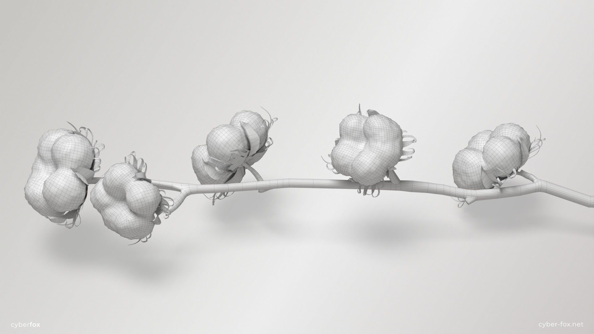 Cotton Branch Low-poly 3D model_12