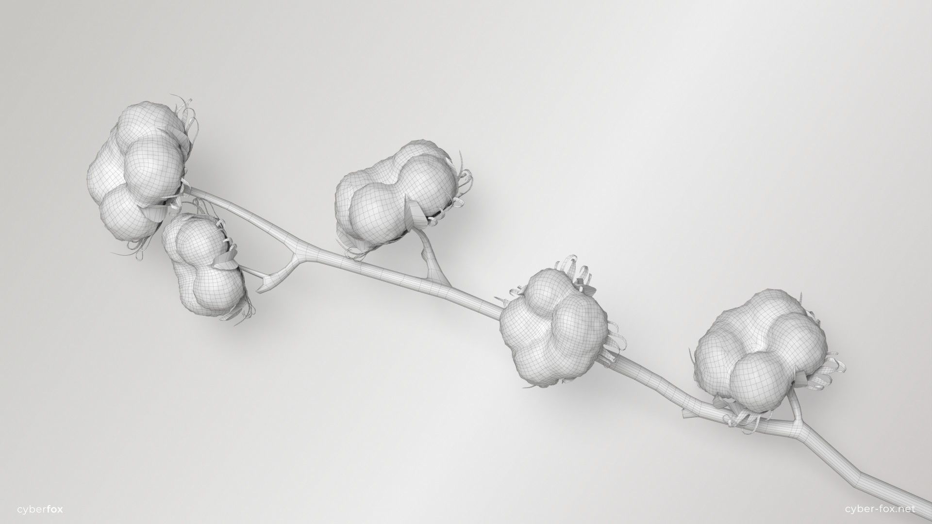 Cotton Branch Low-poly 3D model_9