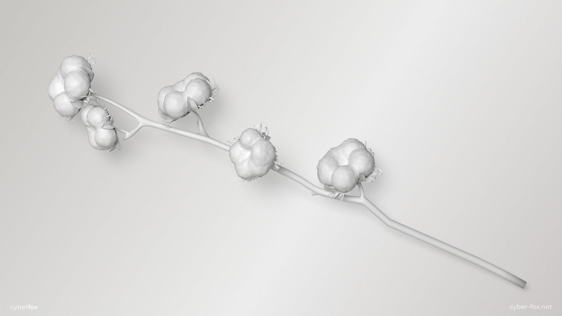 Cotton Branch Low-poly 3D model_7