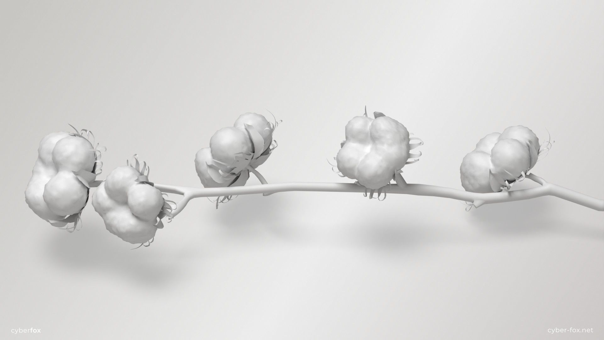 Cotton Branch Low-poly 3D model_11