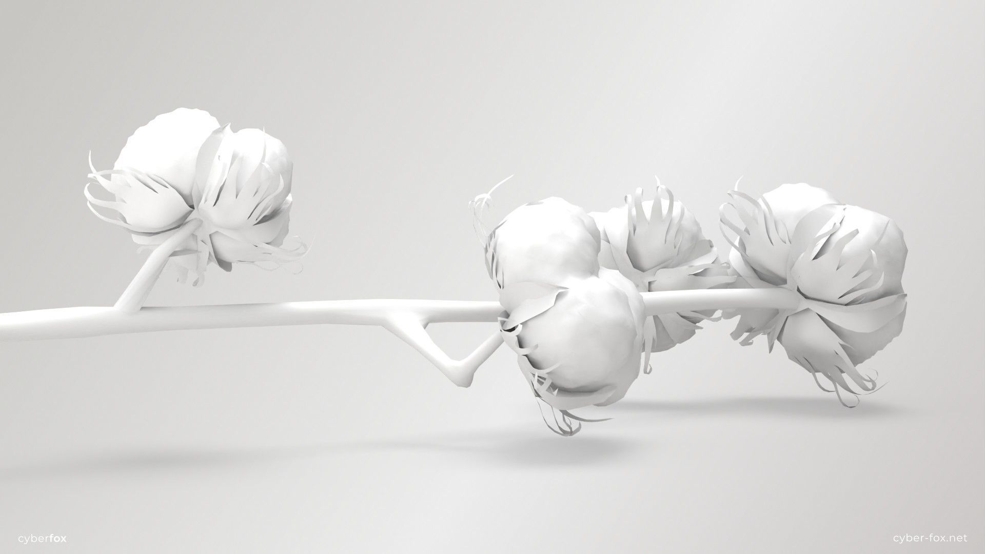 Cotton Branch Low-poly 3D model_13