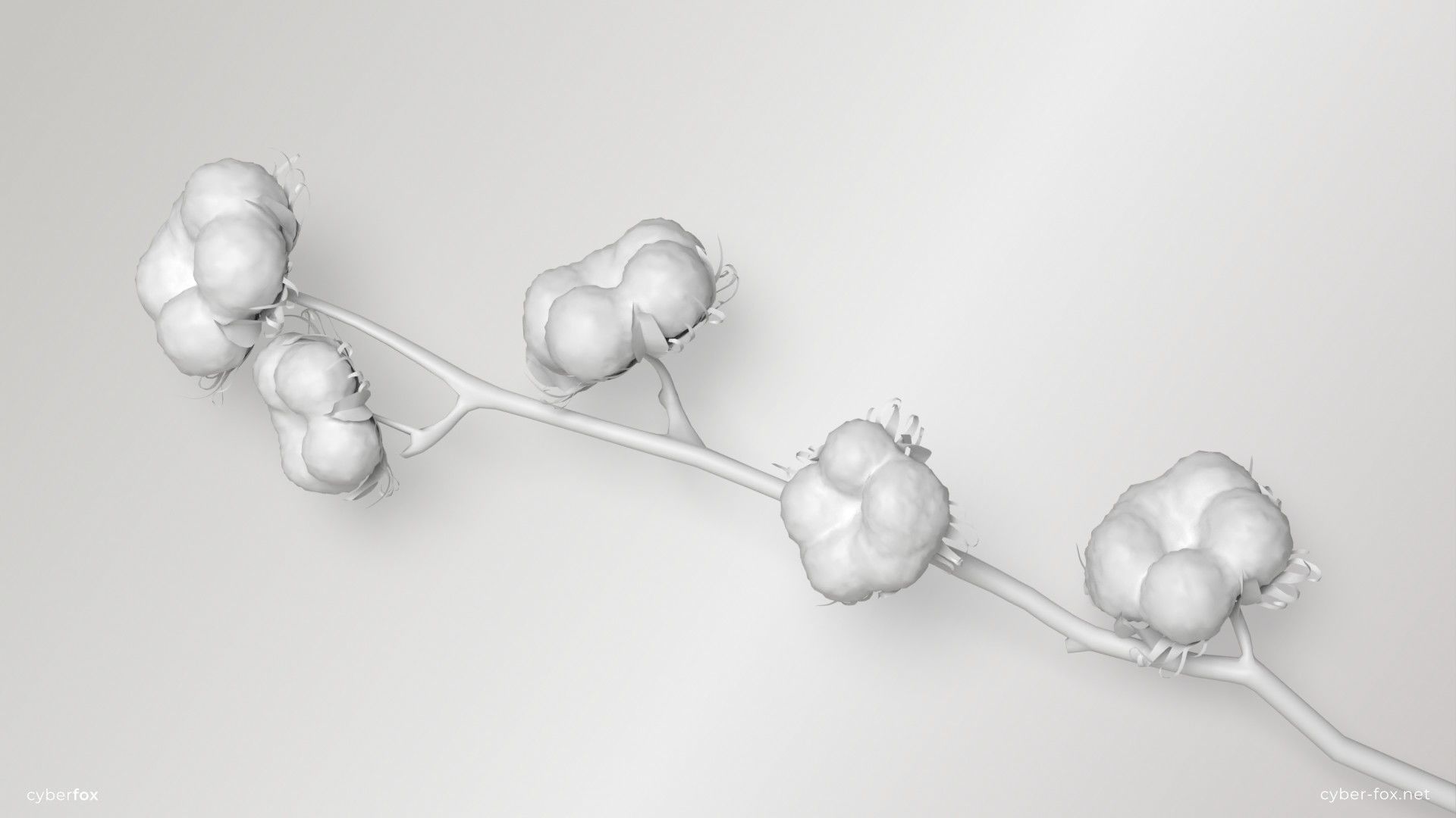 Cotton Branch Low-poly 3D model_10