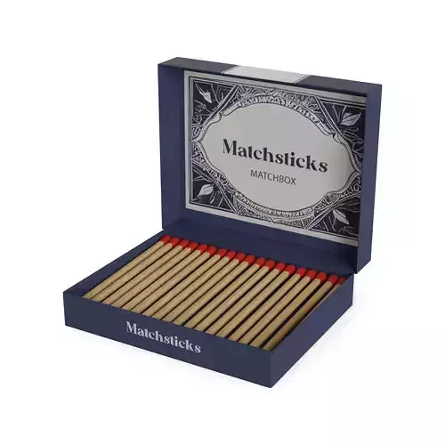 Lighting fluids and matches Matchsticks Low-poly 3D model