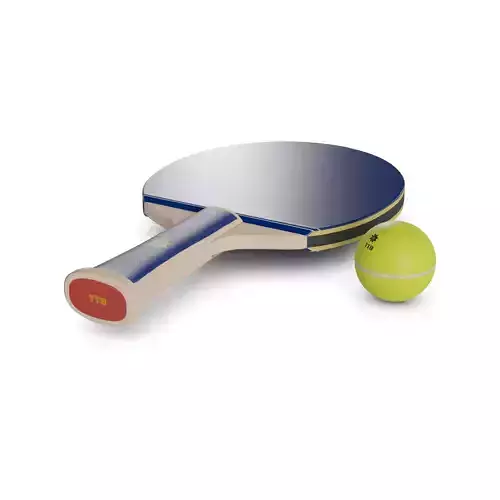 Sports products Table Tennis Paddle Set Low-poly 3D model