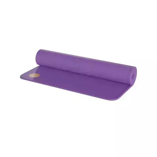 Sports products Yoga Mat
