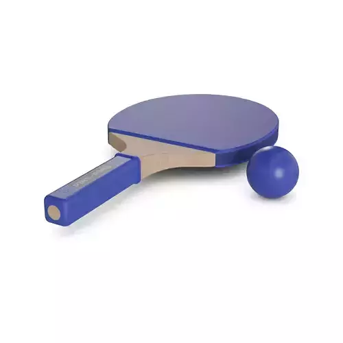 Sports products Ping Pong Paddle Set