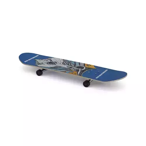 Sports products Skateboard