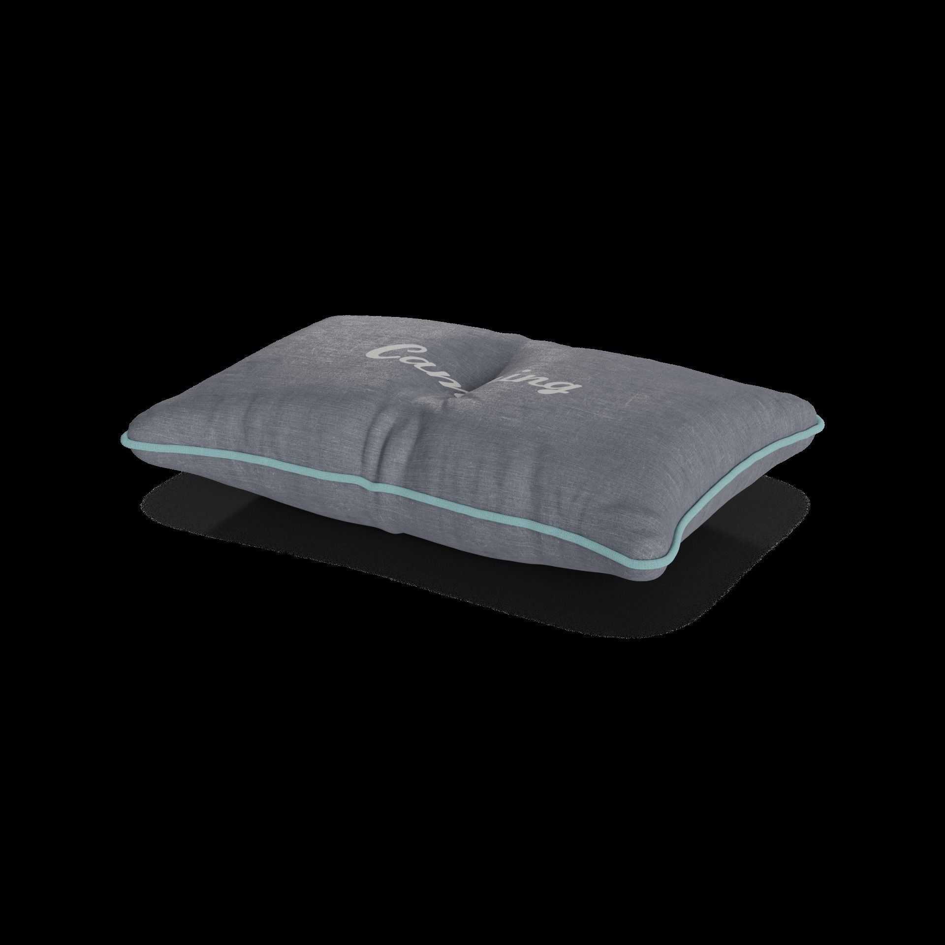 Camping Camping Pillow 3D model_1