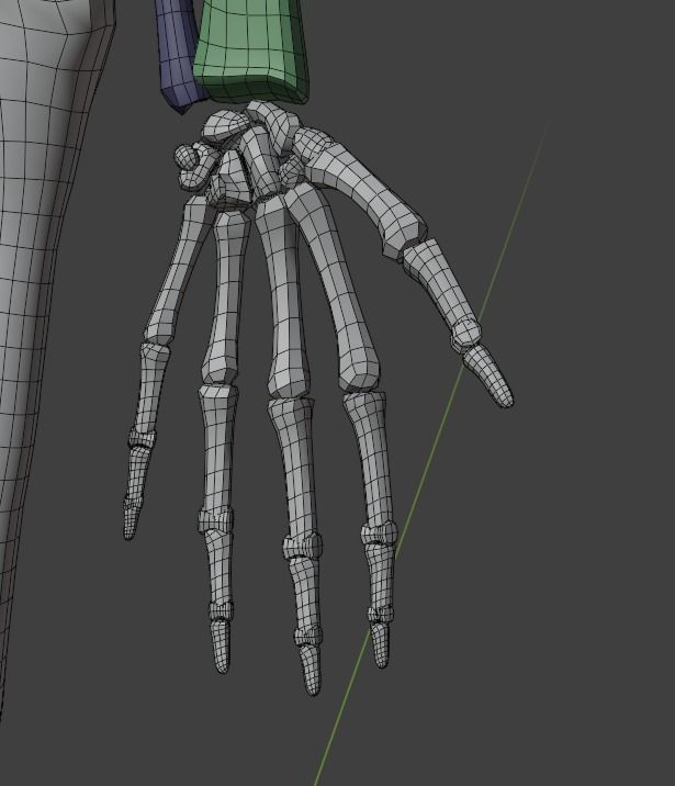simplified skeleton 3D model_3