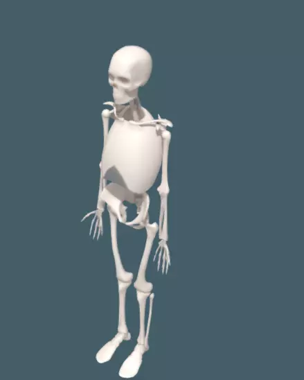 simplified skeleton 3D model_0