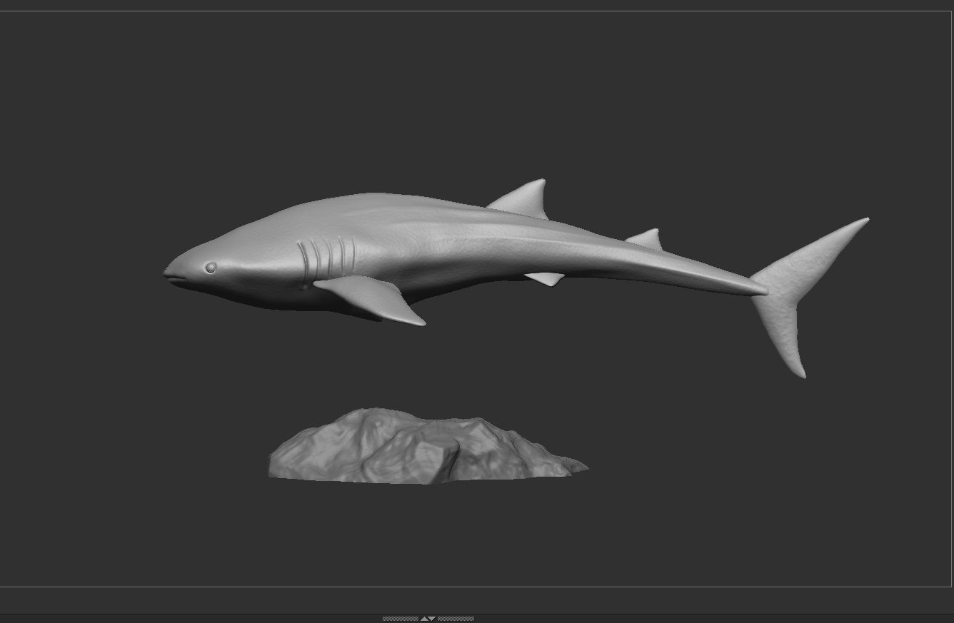 Whale sharks 3D print model_4