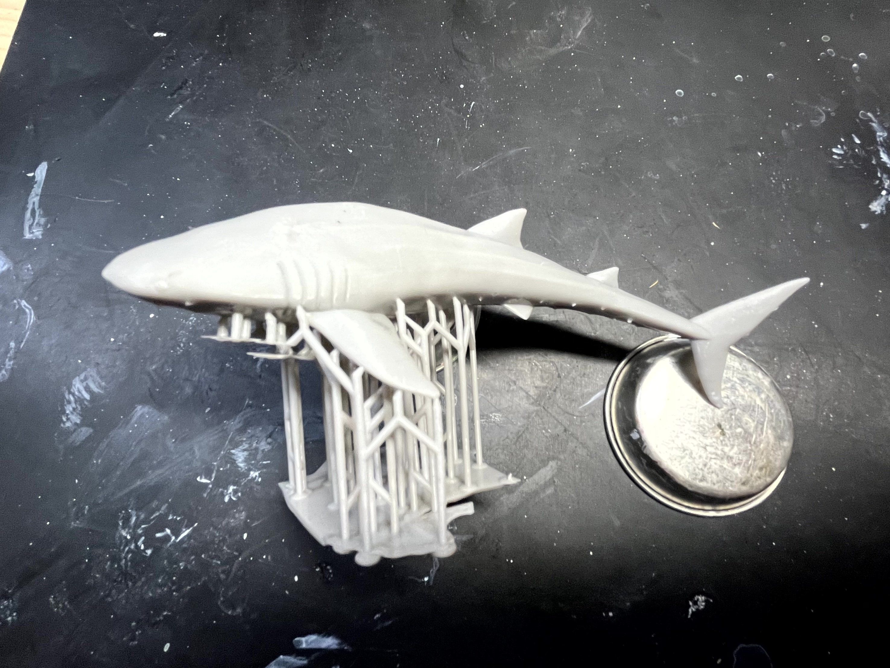 Whale sharks 3D print model_1