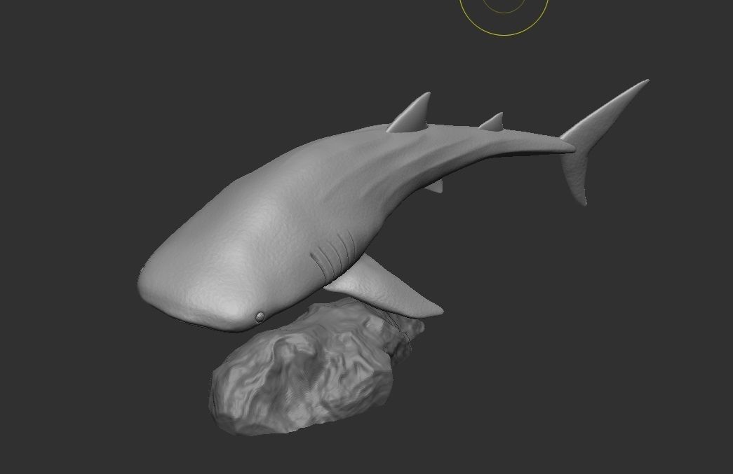 Whale sharks 3D print model_3
