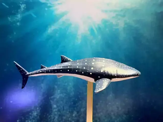 Whale sharks 3D print model