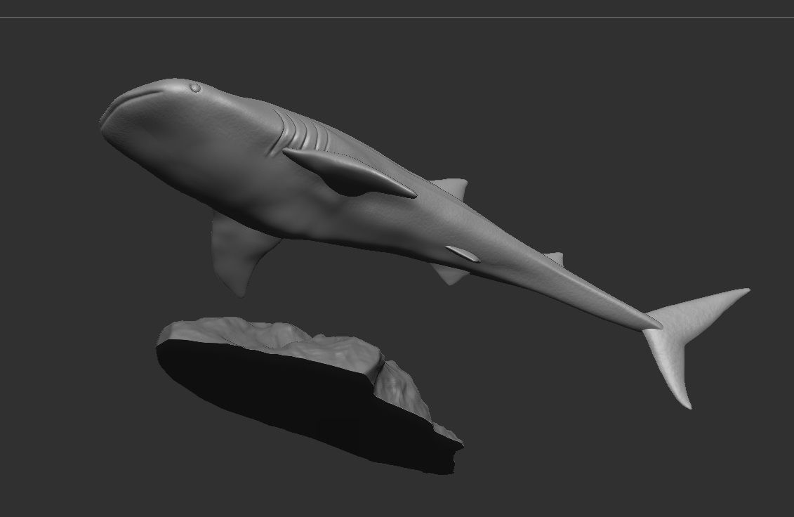 Whale sharks 3D print model_2