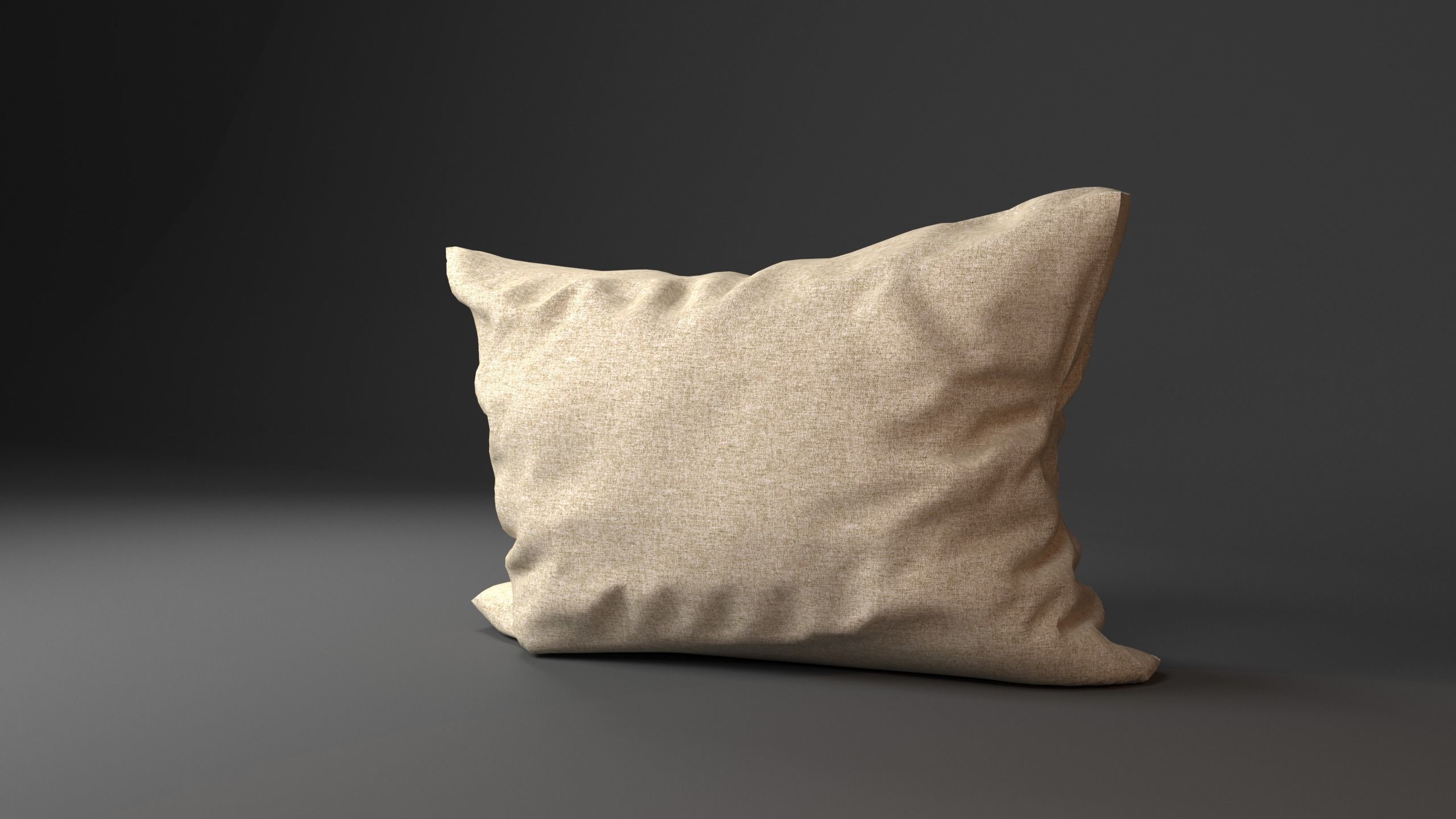 pillow 3D model_3
