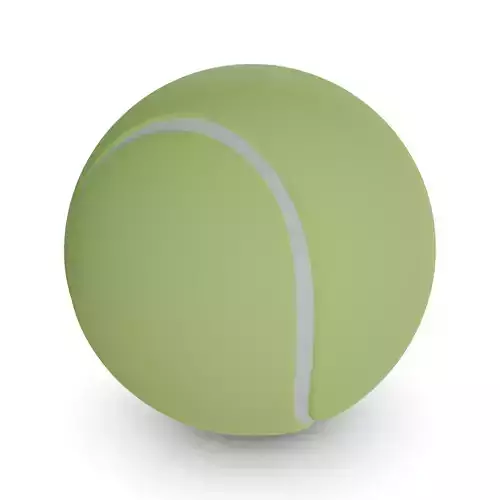 Sports products Tennis Balls