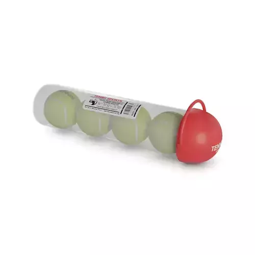Sports products Tennis Balls