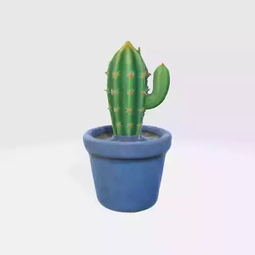 A green cactus plant in a blue ceramic pot