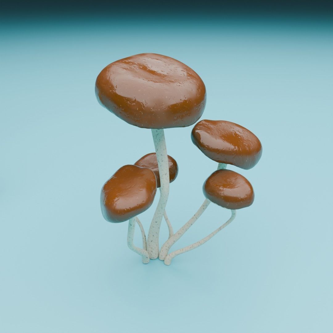 Mushrooms 3D model_10