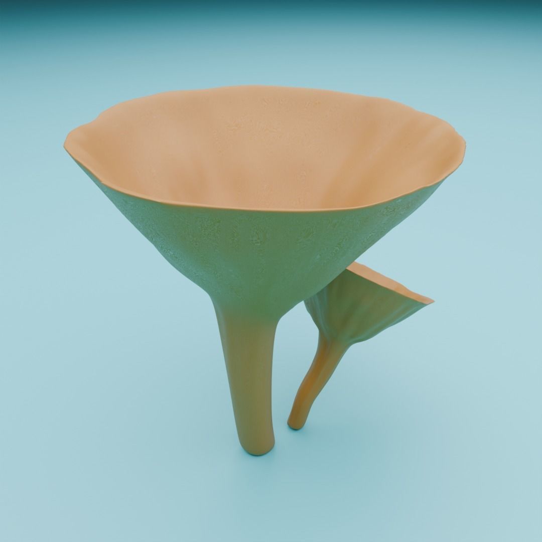 Mushrooms 3D model_8
