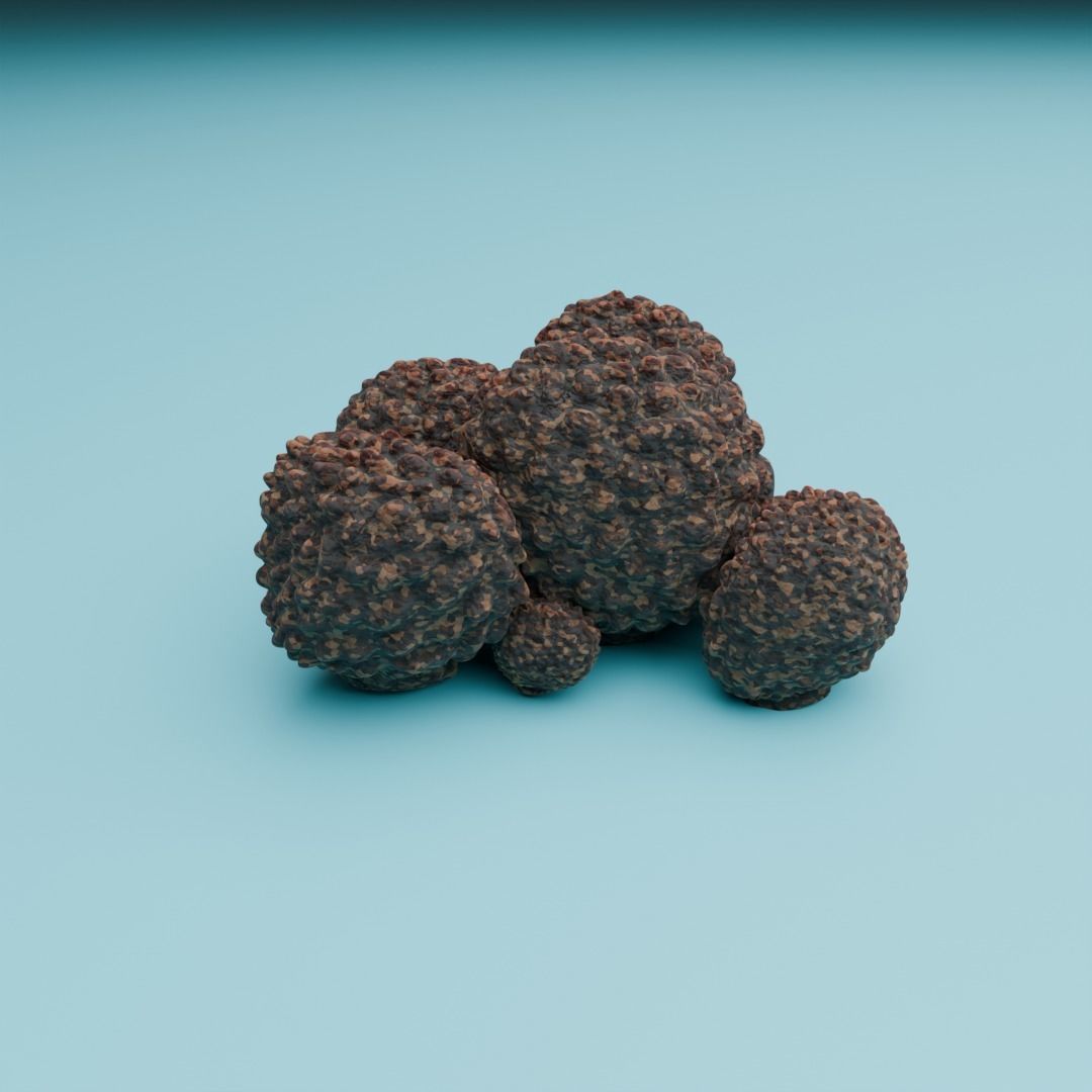 Mushrooms 3D model_6