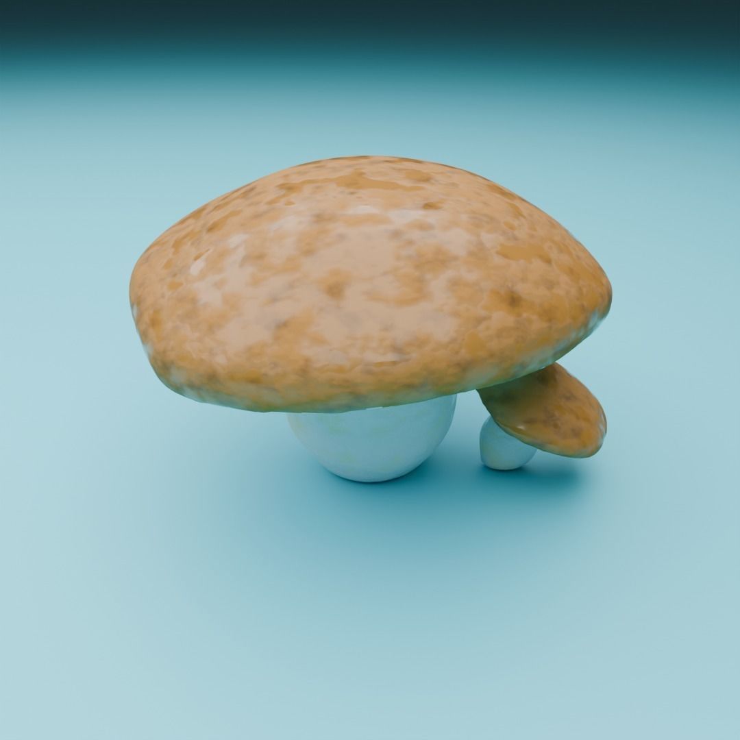 Mushrooms 3D model_7