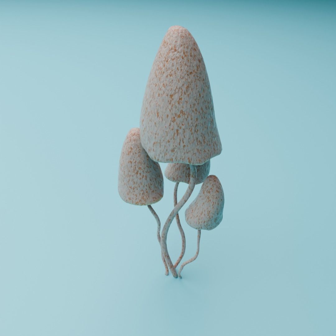 Mushrooms 3D model_4