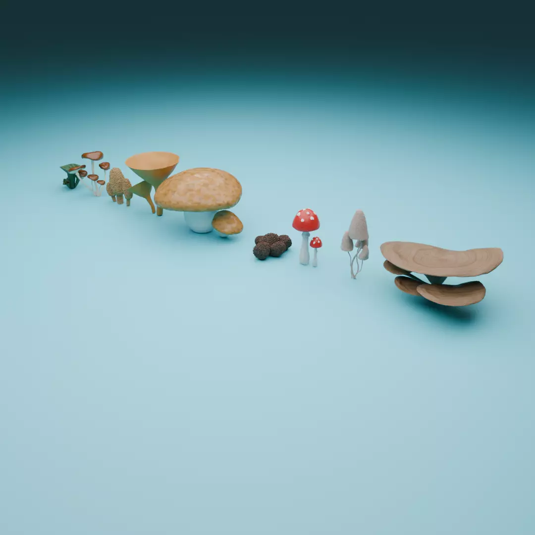 Mushrooms 3D model_0