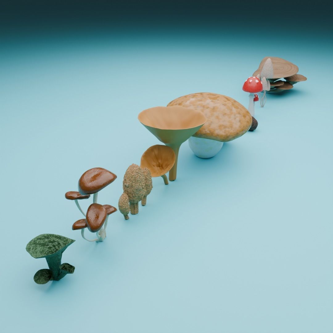 Mushrooms 3D model_1