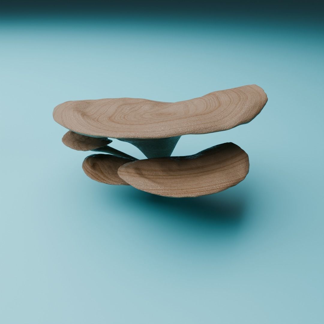 Mushrooms 3D model_3